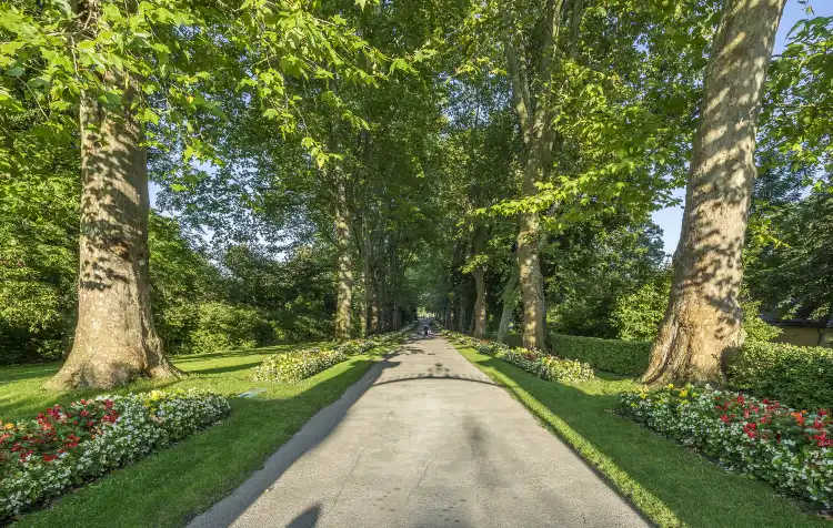 Hotel berhampiran Forum am Schlosspark