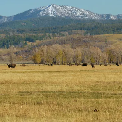 Hotels near Cabela's