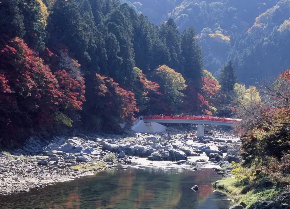 松山の5つ星ホテル