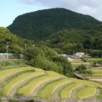 Takamatsu to Hong Kong Flights