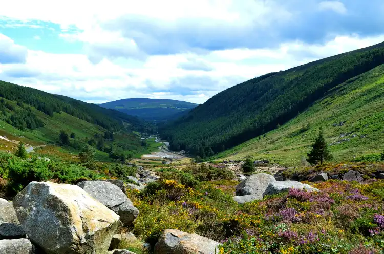 Hotels in Wicklow