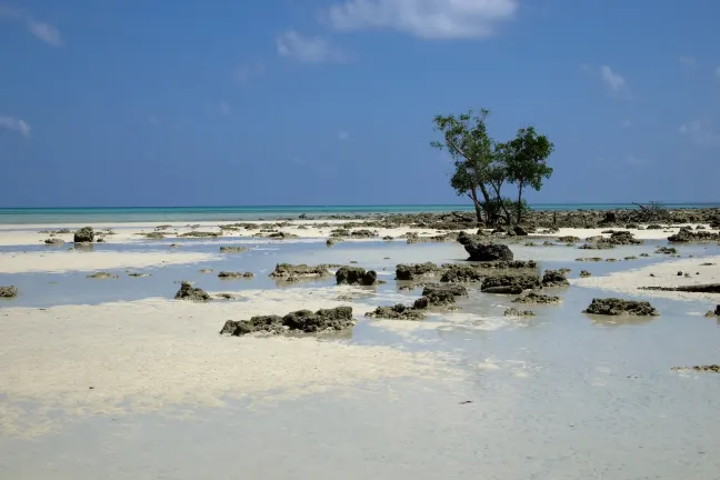 Misty Ocean - A Bergamont Group of Hotel