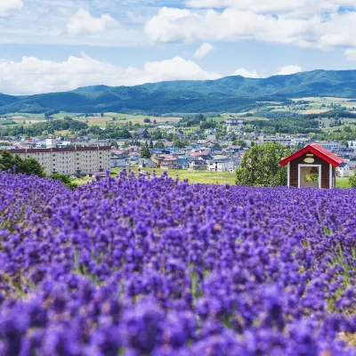 Hotel Romantis di Teshikaga