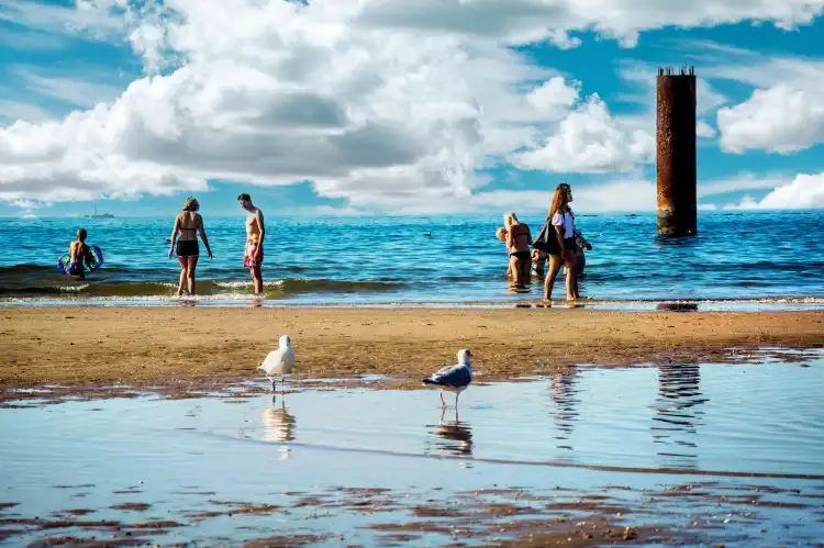 Hotels near Dog Beach