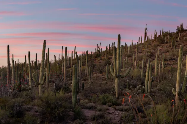 2-Star Hotels in Phoenix