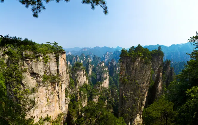 Peer Inn (Zhangjiajie Tianmenshan Branch)