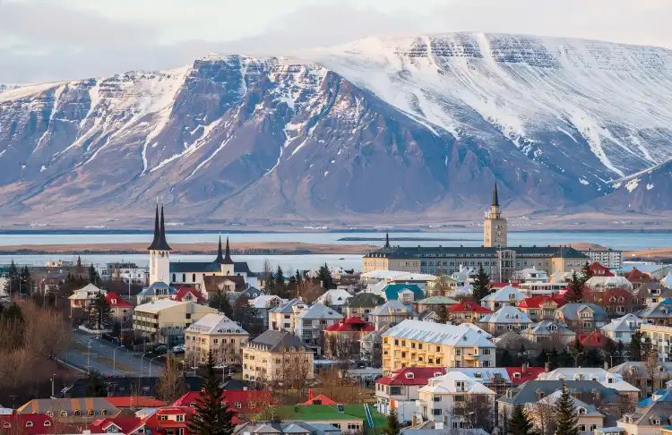 Whales of Iceland周辺のホテル