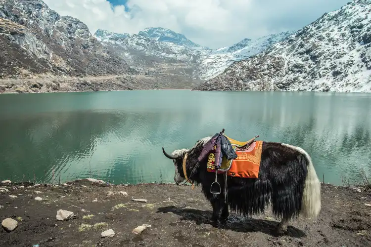 Gangtok