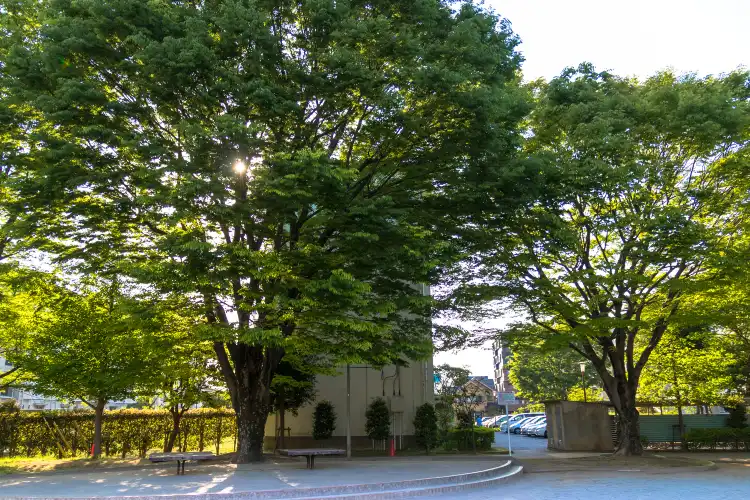 Hotels near LaLa garden Kasukabe