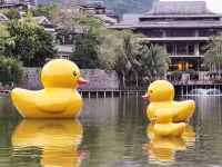 五指山水雲居民宿酒店 五指山酒店