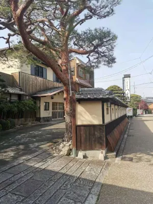 割烹旅館八千代 松阪市住宿飯店