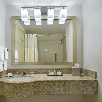 1 King Bed Room High Floor Stand up Shower DoubleTree by Hilton Silver Spring Washington DC North Promo Code