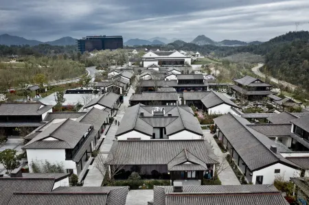 大樂之野（安吉桃花源店）