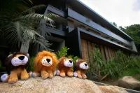 The Funny Lion - El Nido Hotels near Corong Corong Beach