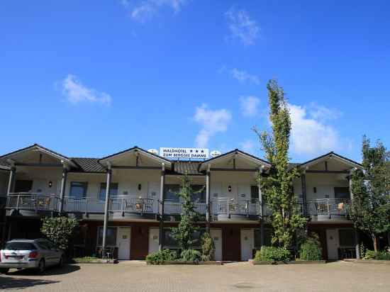 Waldhotel zum Bergsee Damme Hotel Exterior