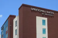 SpringHill Suites Texas City Children's Museum of Houston 주변 호텔