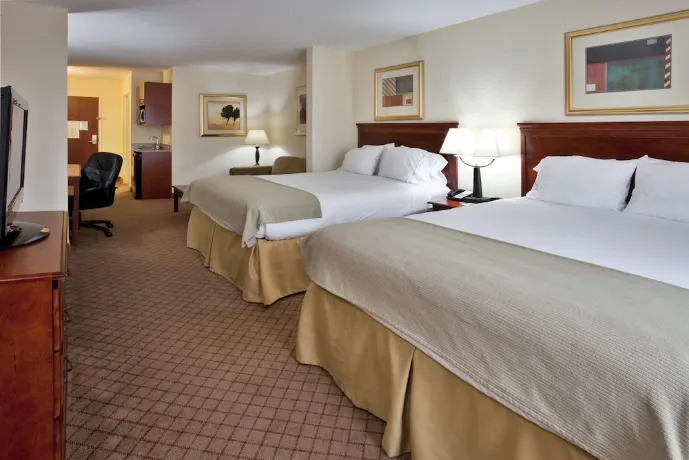 Holiday Inn Express & Suites ST. Petersburg North (I-275) 