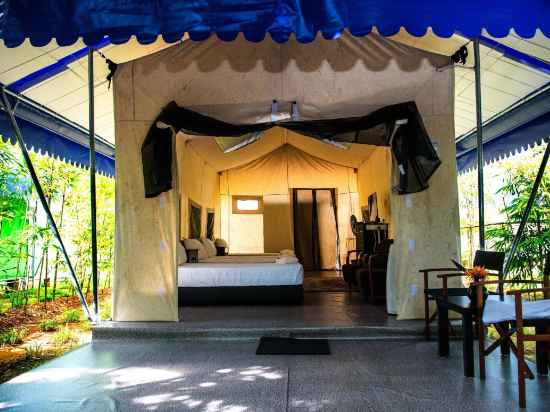 Orchard Go- Daddy Nature Safari Glamping Melaka Rooms