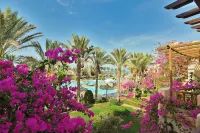 Dream Lagoon & Aqua Park Resort Hotels near Sharm El Luli