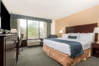 Wyndham Garden Williamsburg Busch Gardens Area Hoteles en Roberts