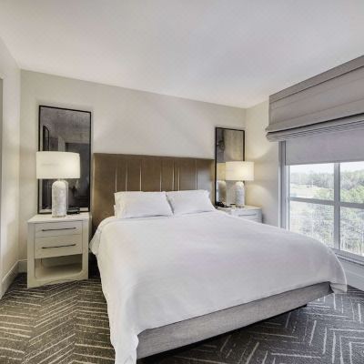 King Suite Embassy Suites Raleigh - Durham Airport/ Brier Creek Promo Code