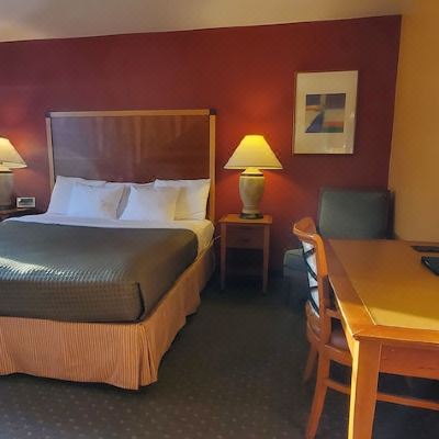 One King Executive (No Pets) Olympic View Inn Promo Code