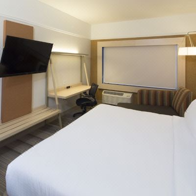 Standard King Room With Walk-in Shower Holiday Inn Express Rochester Hills, an IHG Hotel Promo Code