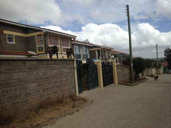 Chester View Homestay - Hostel Hotel Exterior