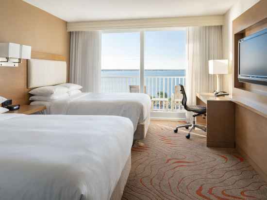 Clearwater Beach Marriott Suites on Sand Key Rooms