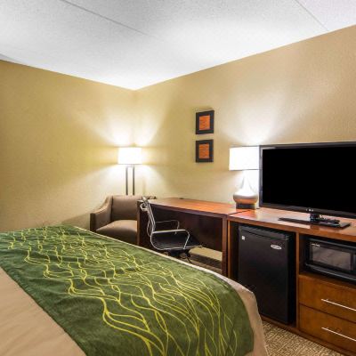 King Room-Accessible-Non-Smoking Comfort Inn Newport News/Williamsburg East Promo Code