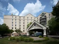 Homewood Suites by Hilton Raleigh - Durham AP/Research Triangle Hotels in Durham