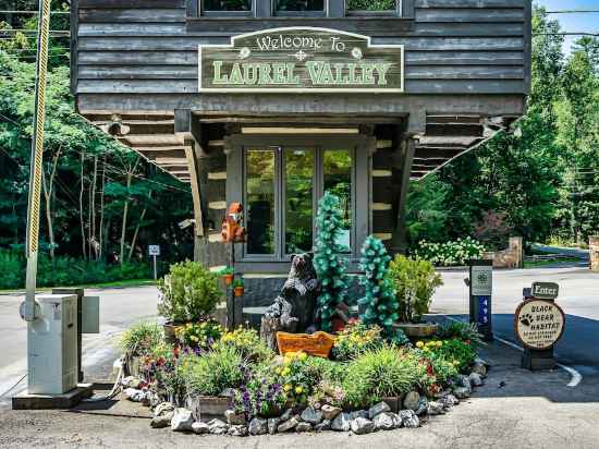 Laurel Valley Mountain Retreat Hotel Exterior