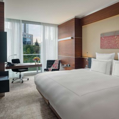 Swiss Advantage King Room with Garden View Swissotel Buyuk Efes, Izmir Promo Code