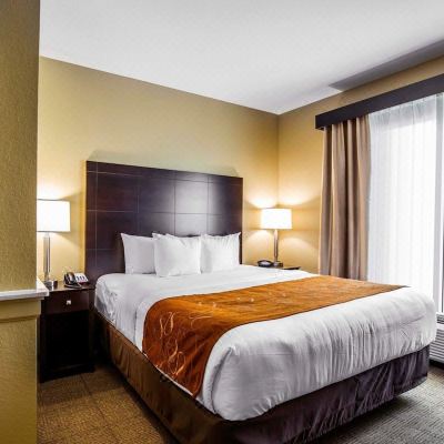 King Suite with Sofa Bed - Non-Smoking Comfort Suites Houston Northwest Cy-Fair Promo Code