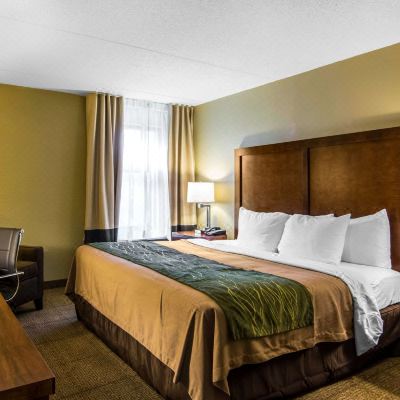 Standard King Room - Non-Smoking Comfort Inn Newport News/Williamsburg East Promo Code