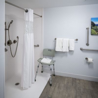 Queen Accessible with Tub Non-Smoking Hampton Inn Long Island/Commack Promo Code