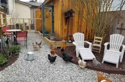 Silly Chickens Lodge B&B Hotels in Mooresville