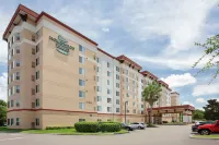 Homewood Suites by Hilton Tampa-Brandon Hotels in Tampa