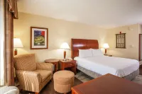 Hilton Garden Inn El Paso / University Hotels near Executive Village