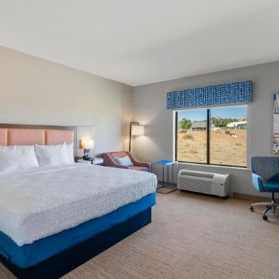 Room, 1 King Bed, Refrigerator & Microwave Hampton Inn Colorado Springs Northeast Promo Code