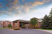 Hilton Garden Inn Colorado Springs Hotels in Colorado Springs