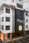 Masson Hotel Butterworth Отели рядом с достопримечательностью «Джунгл Трек 1»