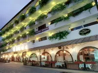 Playa Los Arcos Hotels near Old Vallarta