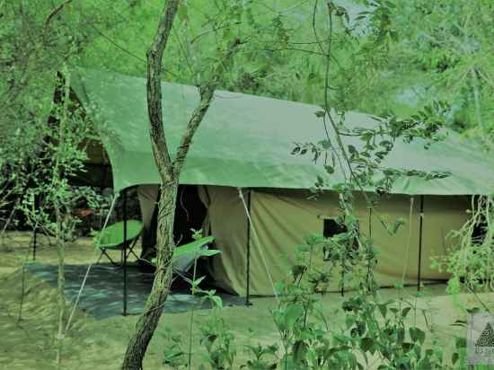 Base Camp Wilpattu Hotel Exterior