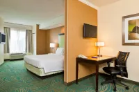 SpringHill Suites Charlotte Lake Norman/Mooresville Hotels in Mooresville