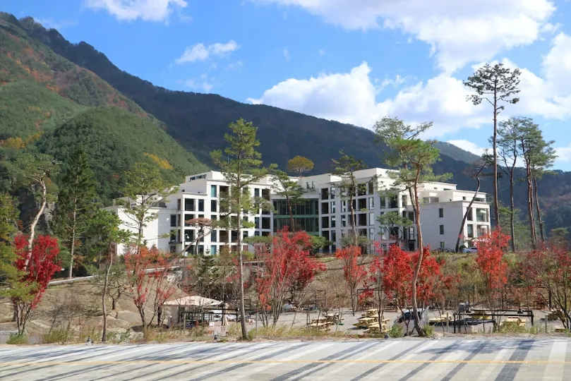 Pine Forest Jeongseon Alpine Resort