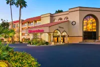 Sheraton Tucson Hotel & Suites Hotels near Buffalo Exchange (Monterey Village)