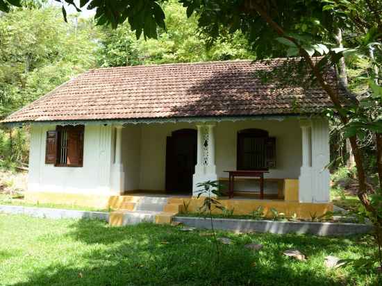 Jungle House Hotel Exterior