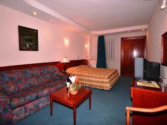 Hotel Lebed Rooms