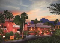 Hilton Phoenix Resort at the Peak Hotels in Phoenix